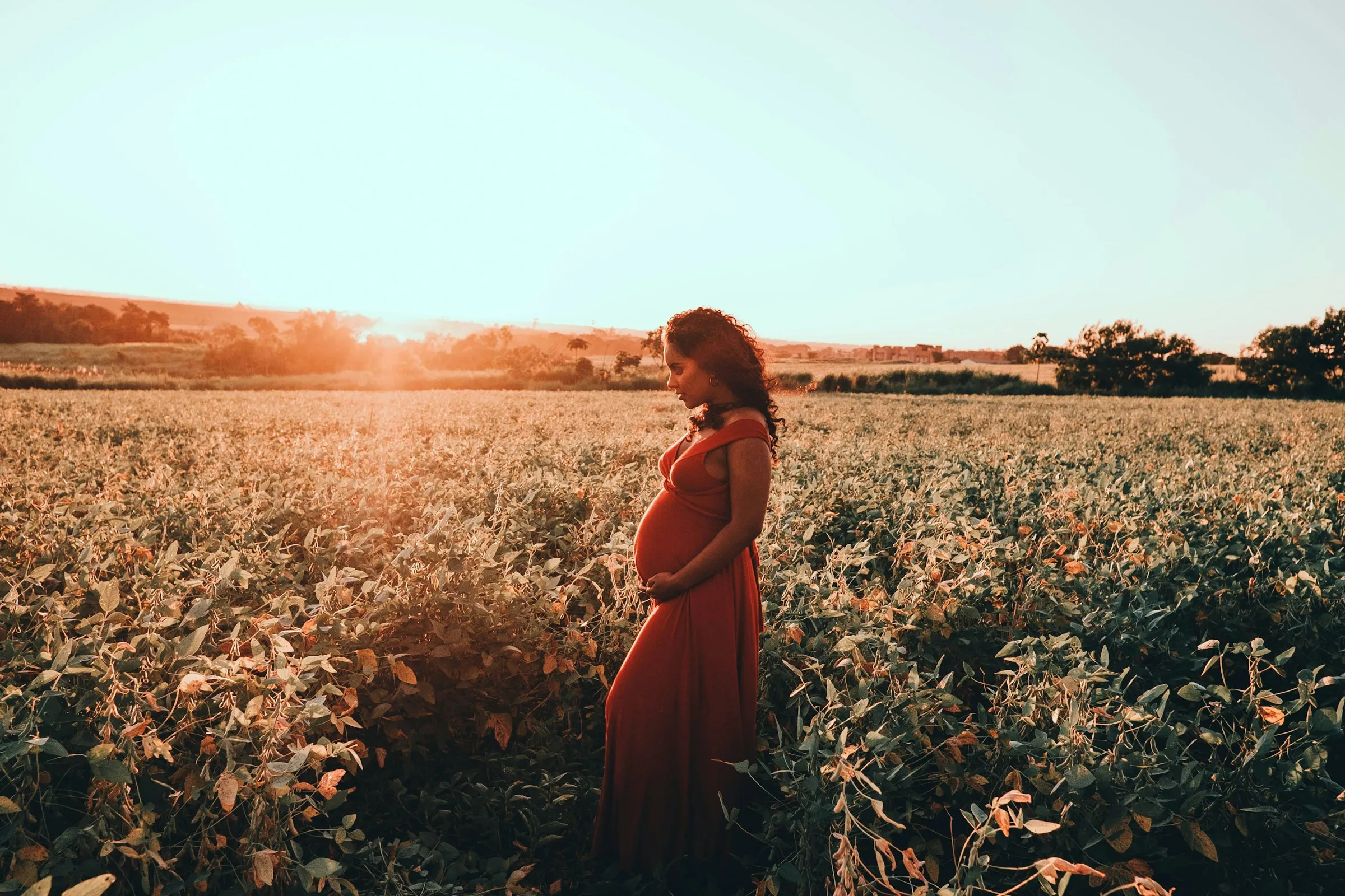 Femme enceinte dans un champ au coucher du soleil