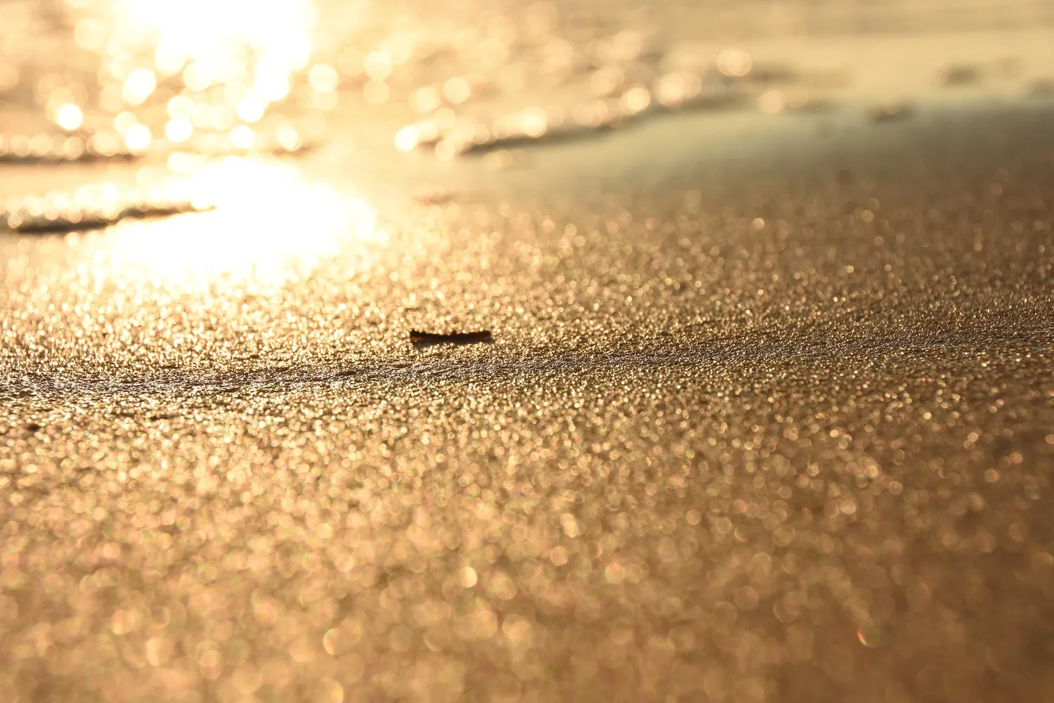 Sable doré au bord de l’eau au coucher du soleil