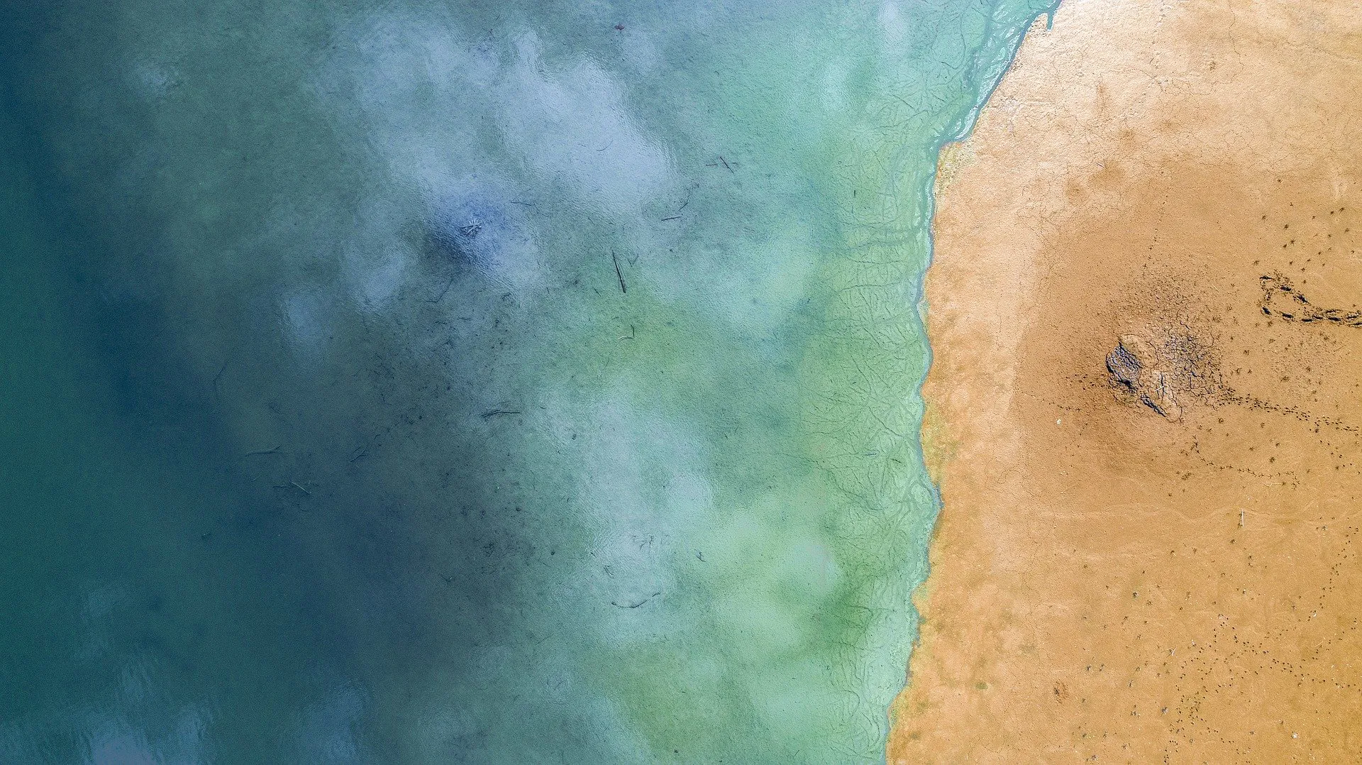 Vue aérienne de la mer rencontrant une plage de sable