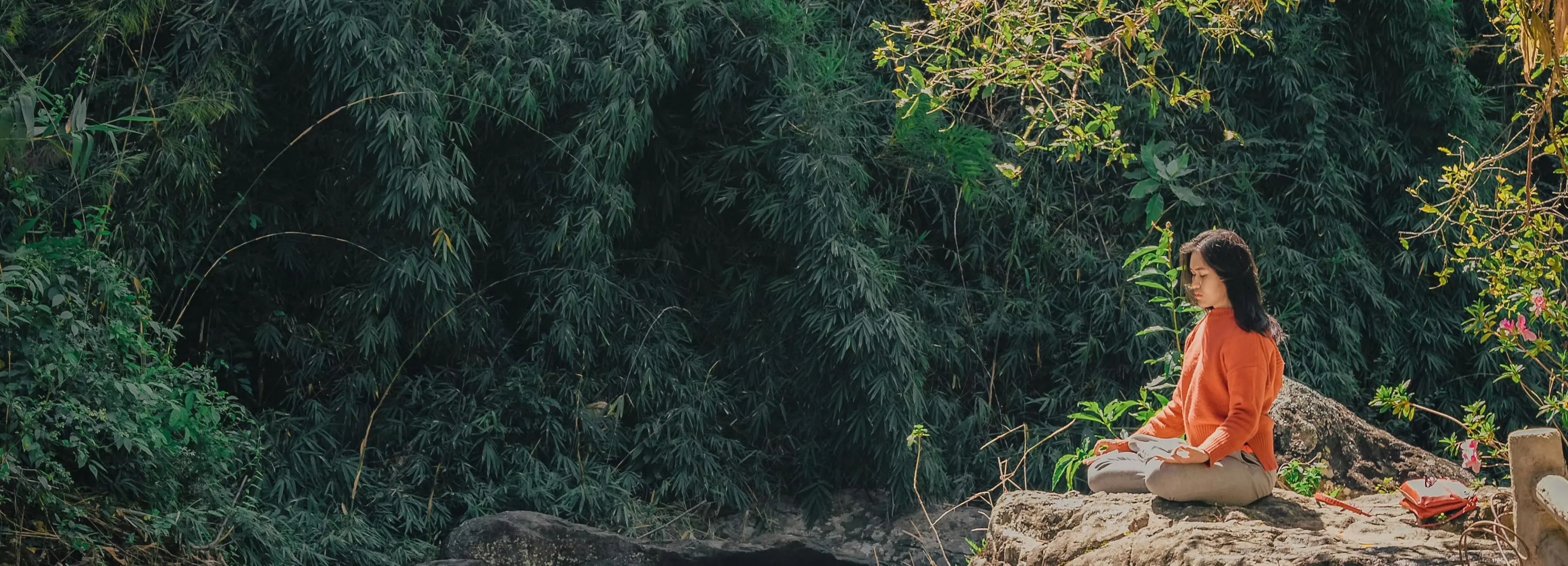 Femme méditant dans la nature