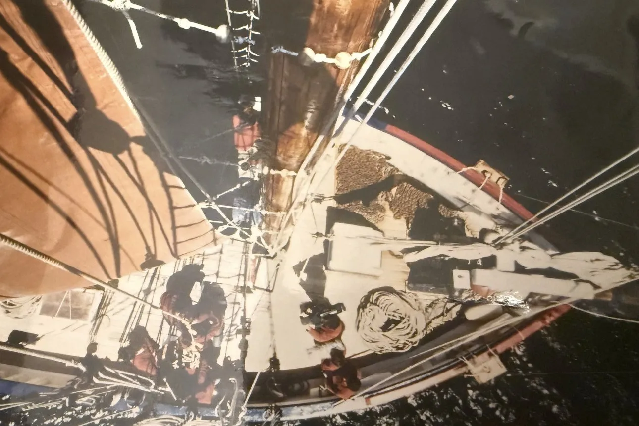 Mât et voiles d’un voilier vus d’en bas
